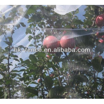 Agriculture net/Insect mesh/Fruit tree mesh netting